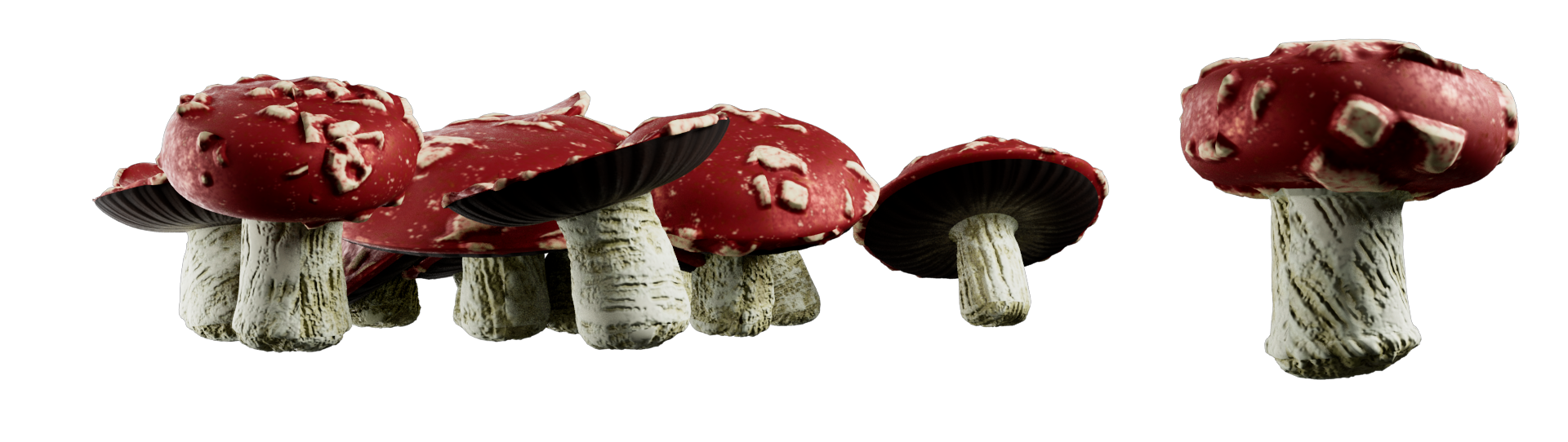 m/mushrooms image 2