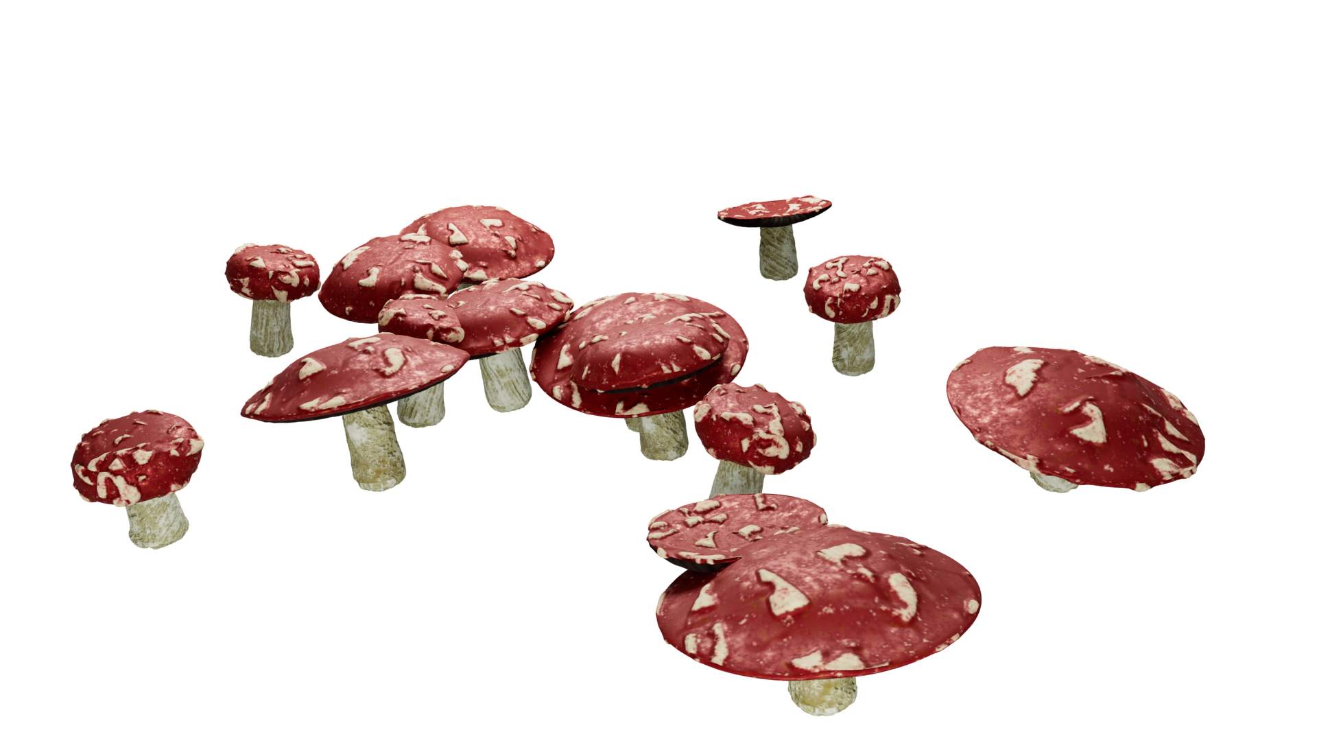 m/mushrooms image 1